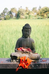 Ubud Tipps: Hier findet man das spirituelle Bali an jeder Ecke